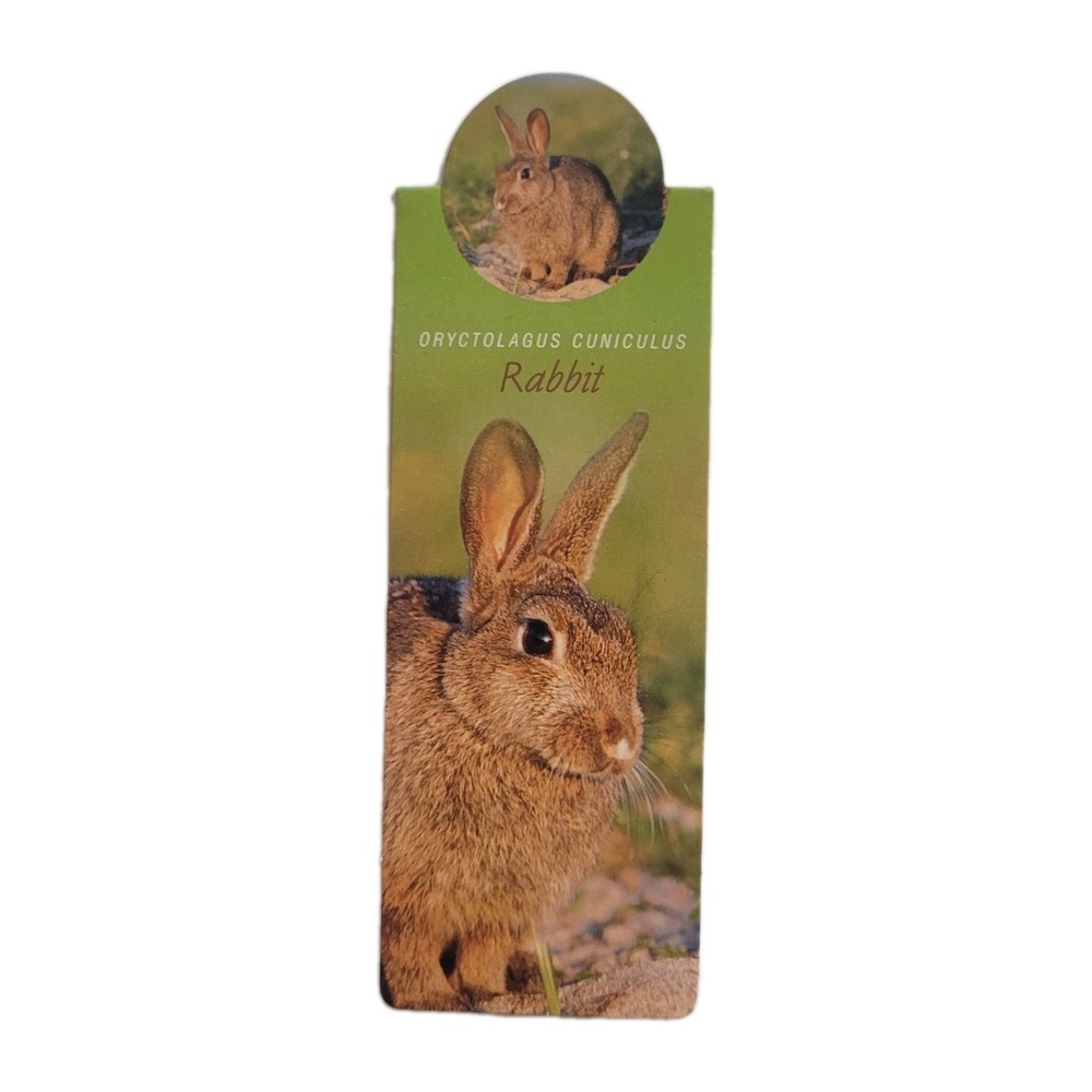 Cardmarks Bunny Rabbit Wild Animals Magnetic Magnet UK Company If #2407, Y2k 00s